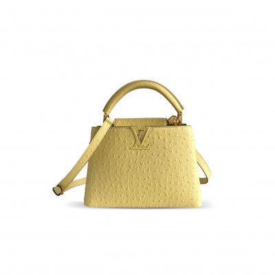 LOUIS VUITTON CAPUCINES BB N89018 (27*18*9cm)